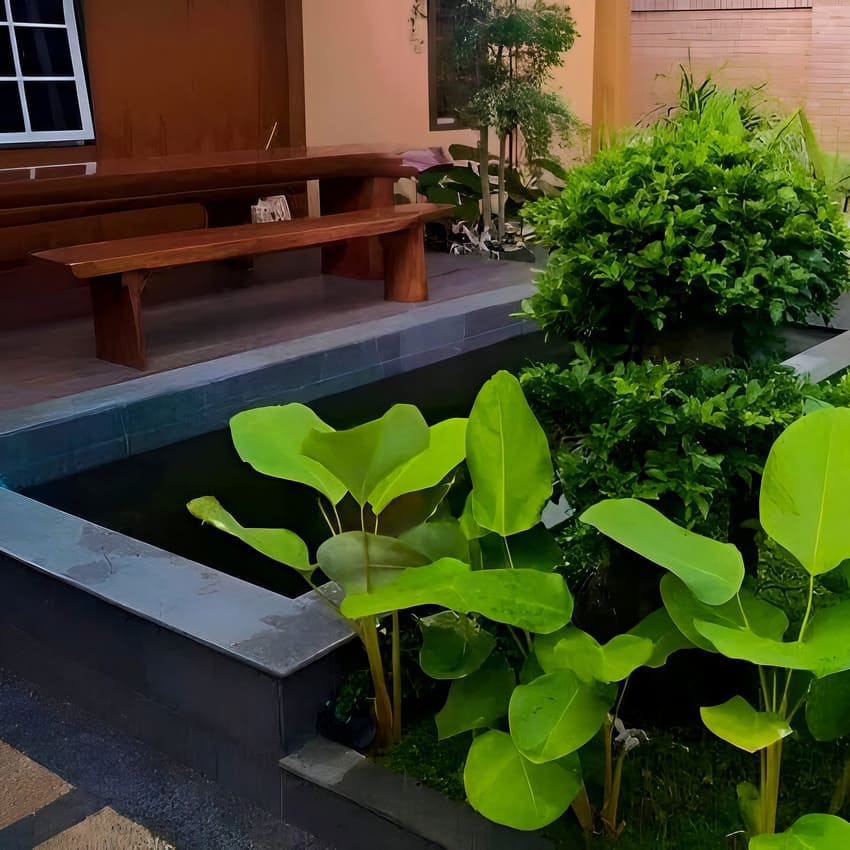 Jasa Kolam Koi Jogja